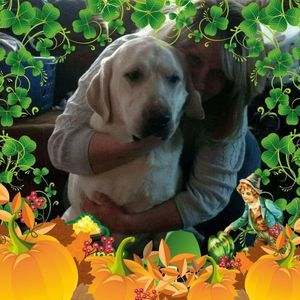 Meet your Posher, Tracey